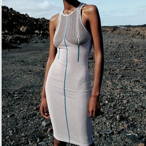 Zara Seamless Jacquard Dress